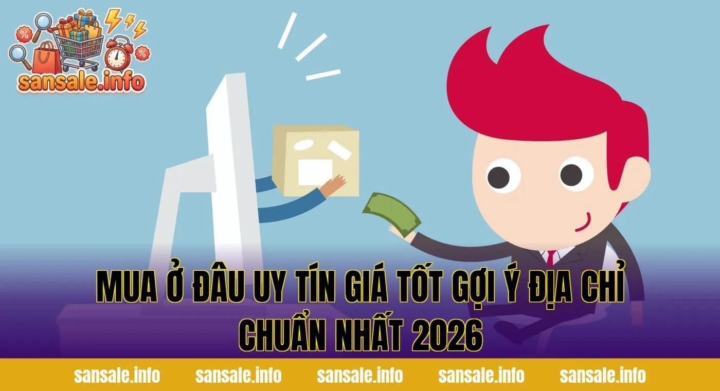 Mua Ở Đâu Uy Tín Giá Tốt Gợi Ý Địa Chỉ Chuẩn Nhất 2026