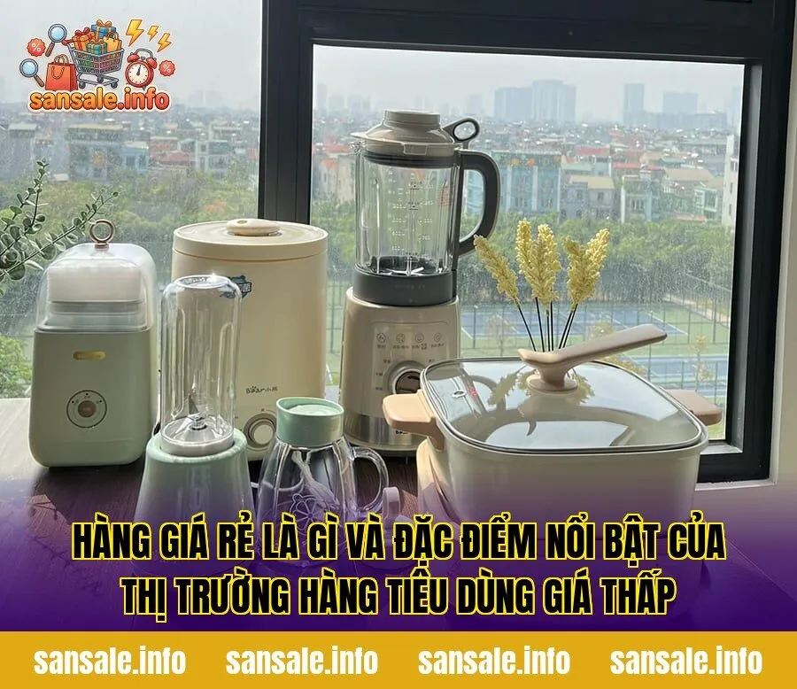 Hàng giá rẻ là gì và đặc điểm nổi bật của thị trường hàng tiêu dùng giá thấp